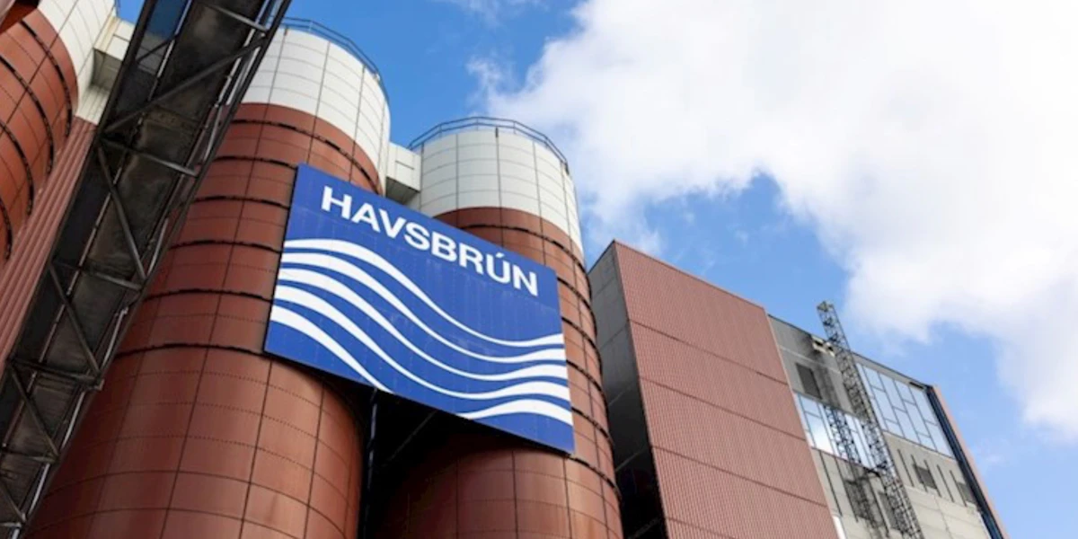 Havsbrún