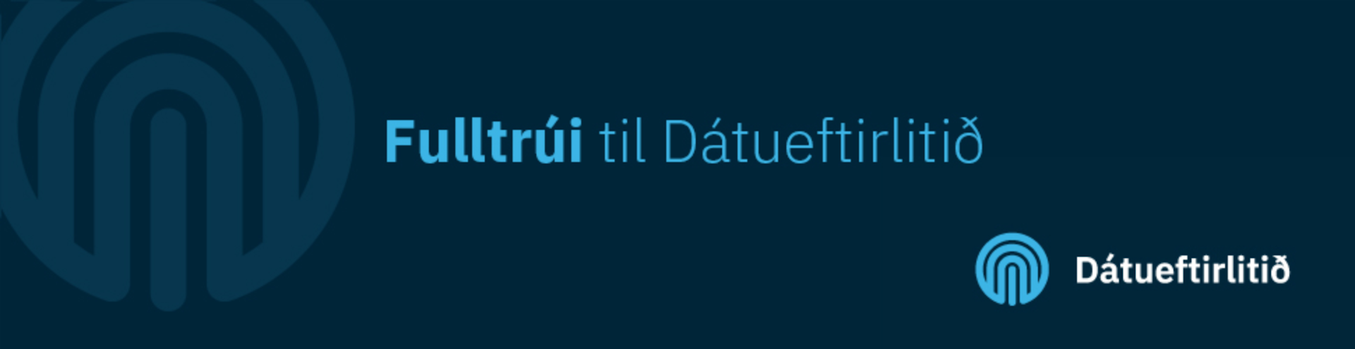 Fulltrúi til Dátueftirlitið