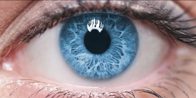 Profil Optik Miðlon