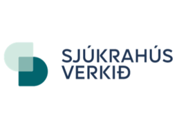 Sjúkrahúsverkið